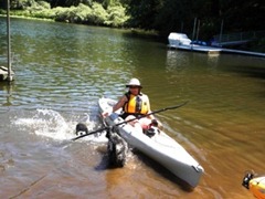 dogs by kayak