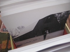 IMG_9067 IMG_9067