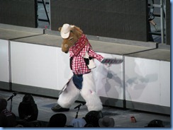 9577 Alberta Calgary Stampede 100th Anniversary - GMC Rangeland  Derby & Grandstand Show - Grandstand Show - Harry the Horse - Official Mascot of the Calgary Stampede