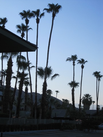 [IMG_0592%255B4%255D.jpg]