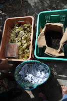 pinoyecofarm vermicomposting seminar _0046.JPG