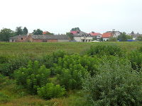 SAM_6074.JPG Photo