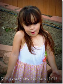 DSC03590 DSC03590