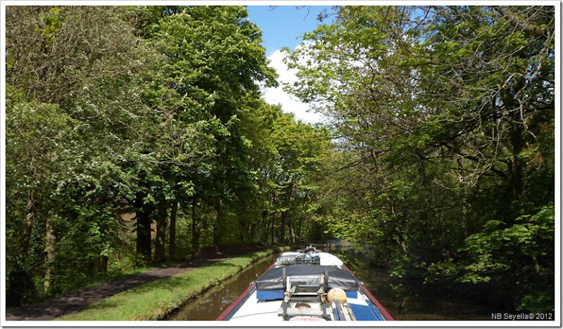 SAM_0118 Tame Valley SAM_0118 Tame Valley