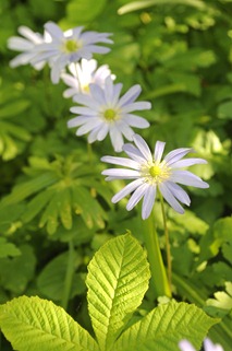 20120501_162227