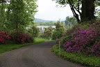 My Farm in Mid May