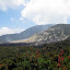 Looking back towards the crater as we hike around the back