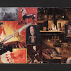 23Collage.jpg