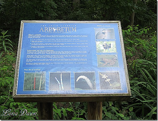 Edith_J_Carrier_Arboretum