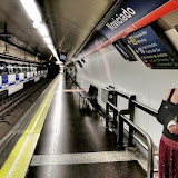 P6124221.JPG