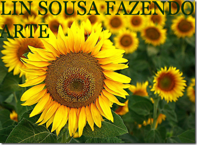 Nova Imagem (6)
