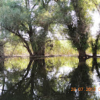 DSCN4522.JPG