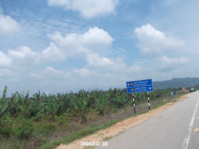 [DSCN12802.jpg]