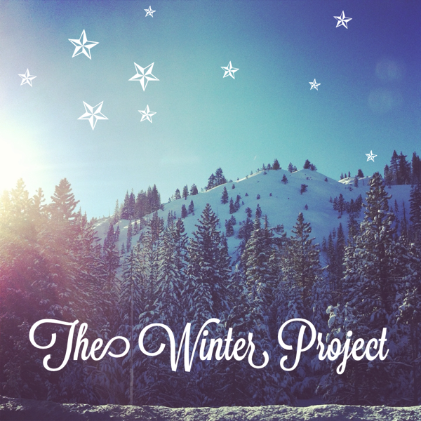 the winter project snow