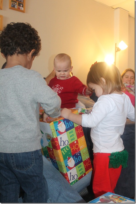 IMG_3949 IMG_3949