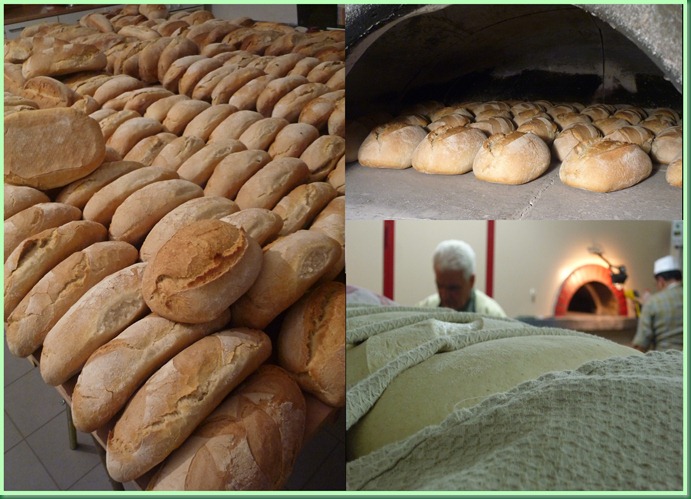 PANE 1 PANE 1