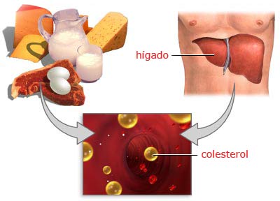 What Are The Symptoms Of High Triglycerides