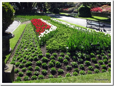 The South African flag in flowers. Part of the Rugby World Cup.