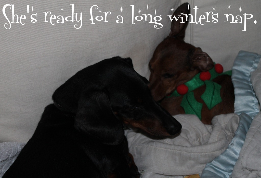 [rudi%2520and%2520franz%2520001-002%255B3%255D.jpg]