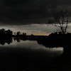chyba zbiera się na burzę... dsc00296.jpg