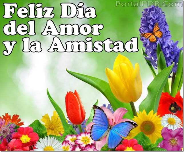 amor (19) amor (19)