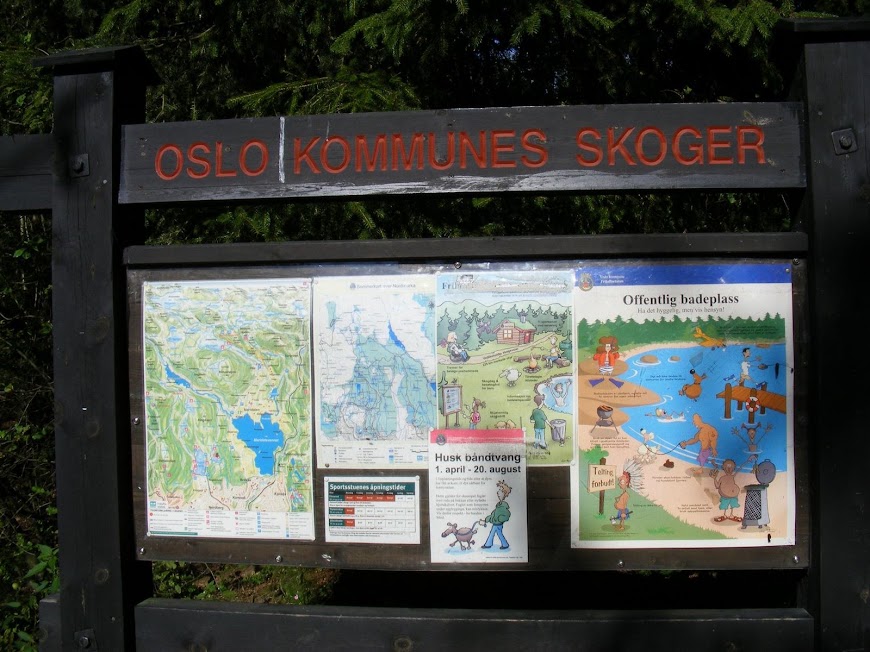 DSCF6415.JPG