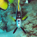 IMG_9697.JPG