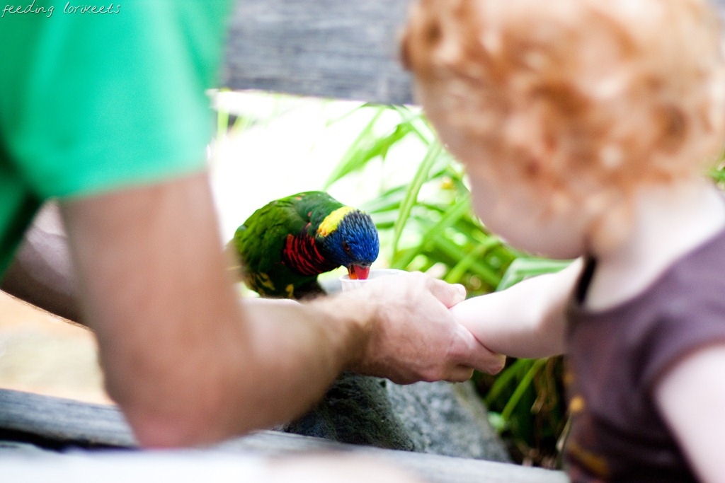 [20120716-IMG_6882-2%255B11%255D.jpg]