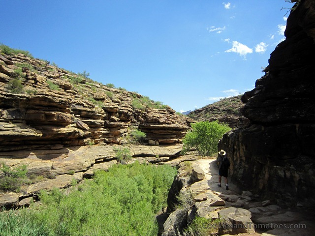 [GrandCanyon-25%255B3%255D.jpg]