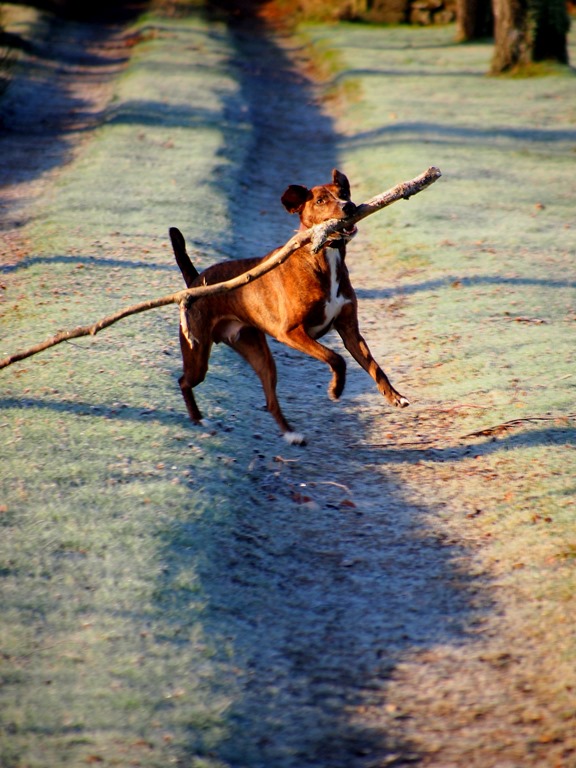 [1%2520Jan%25203%255B3%255D.jpg]