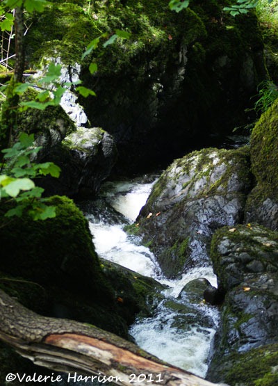[5-waterfall%255B2%255D.jpg]