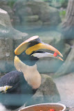 IMG_8332.jpg