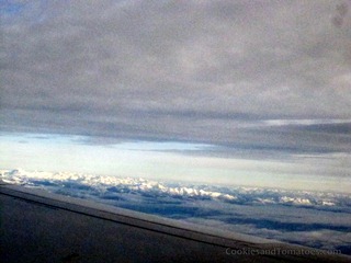 Calgary Plane