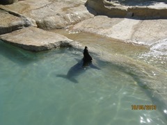 IMG_3324 IMG_3324