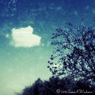 [20120510_5%255B8%255D.jpg]