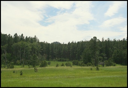 IMG_8824 IMG_8824