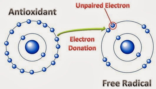 antioxidant1 antioxidant1
