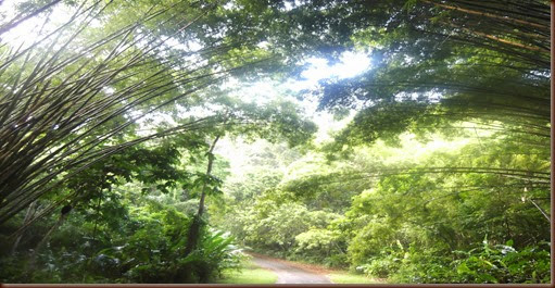 DSCF6268 DSCF6268