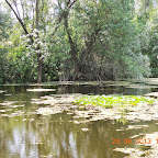 DSCN8338.JPG