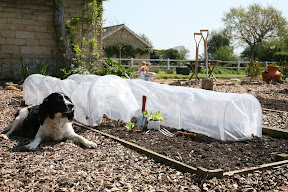 Easy Poly Tunnel - with drawstring for closing ends