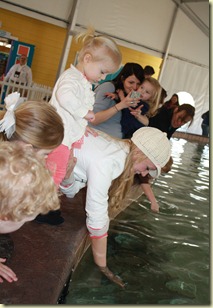 IMG_8144 IMG_8144