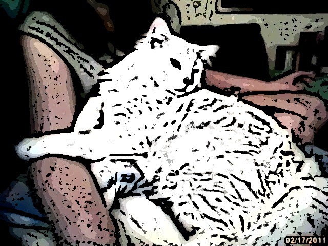 [image201102170015ps%255B5%255D.jpg]