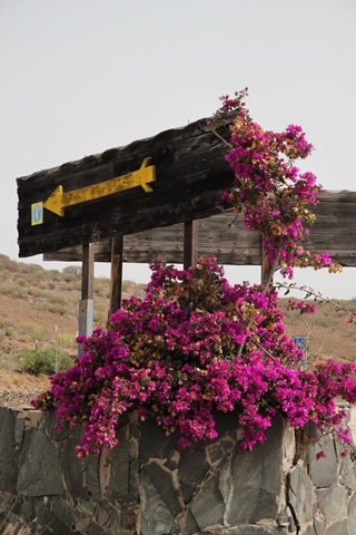 [image%255B23%255D.png]