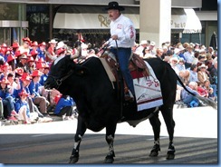 8999 Alberta Calgary Stampede Parade 100th Anniversary