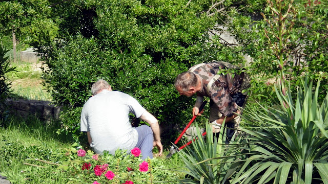 2014-05-Cistilna-akcija-Osek-02.JPG