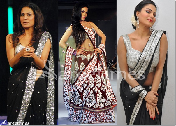Veena_Malik_Sarees(2)