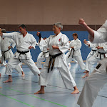 H25D2937.JPG