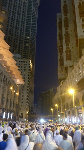[P10006623.jpg]