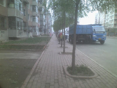 05091424 (Medium).jpg