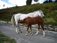20070920_0023.JPG
